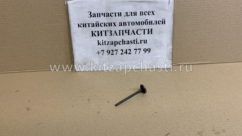 КЛАПАН ВЫПУСКНОЙ Great Wall HOVER H6 1007012-EG01